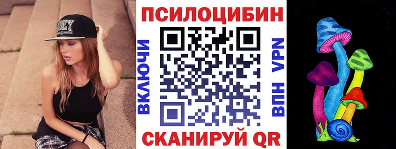 продажа наркотиков  Краснозаводск  Псилоцибиновые грибы GOLDEN TEACHER 